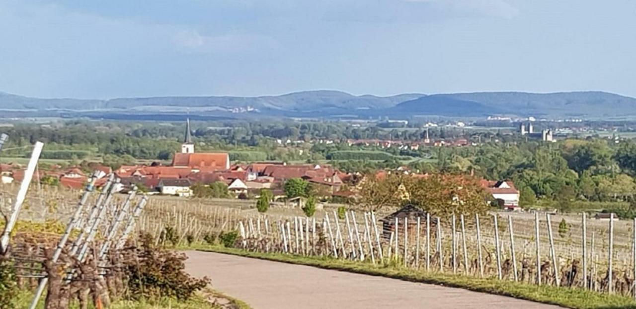 Ferienwohnung An der Dorfmauer Sommerach Exterior foto